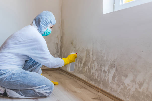 Mold Remediation specialist working in Huntington
