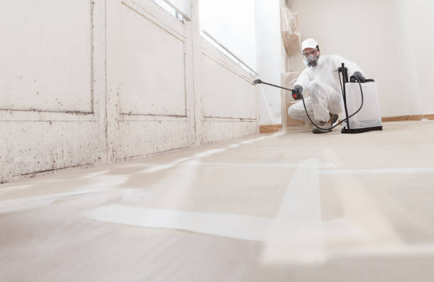 Post-remediation clearance in Huntington